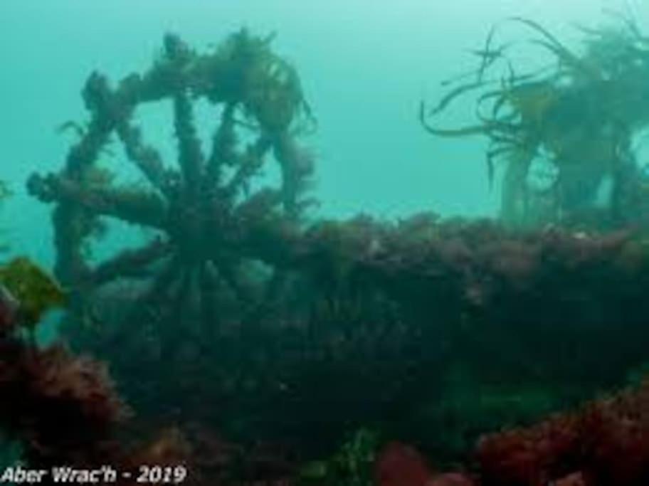Gite Entre Mer Et Abers Landéda المظهر الخارجي الصورة