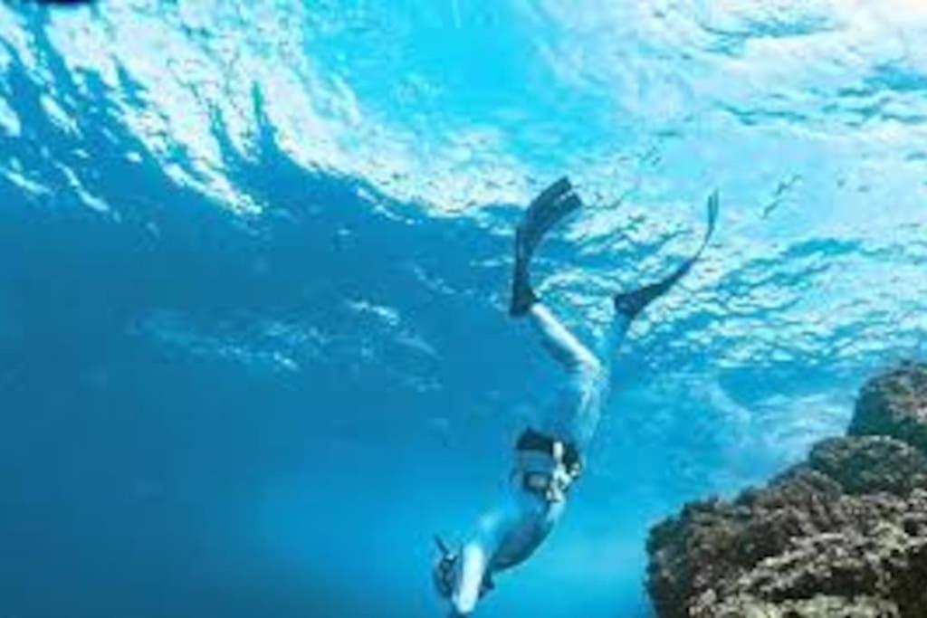 Gite Entre Mer Et Abers Landéda المظهر الخارجي الصورة