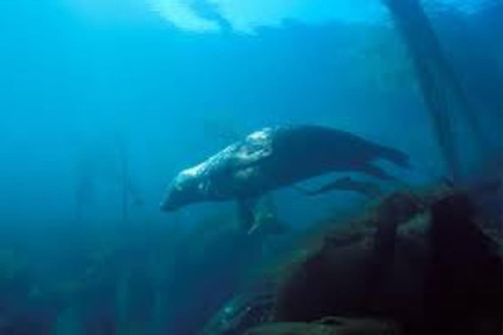 Gite Entre Mer Et Abers Landéda المظهر الخارجي الصورة